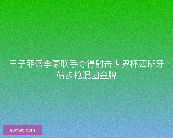 王子菲盛李豪联手夺得射击世界杯西班牙站步枪混团金牌