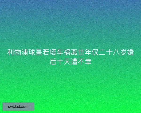 利物浦球星若塔车祸离世年仅二十八岁婚后十天遭不幸